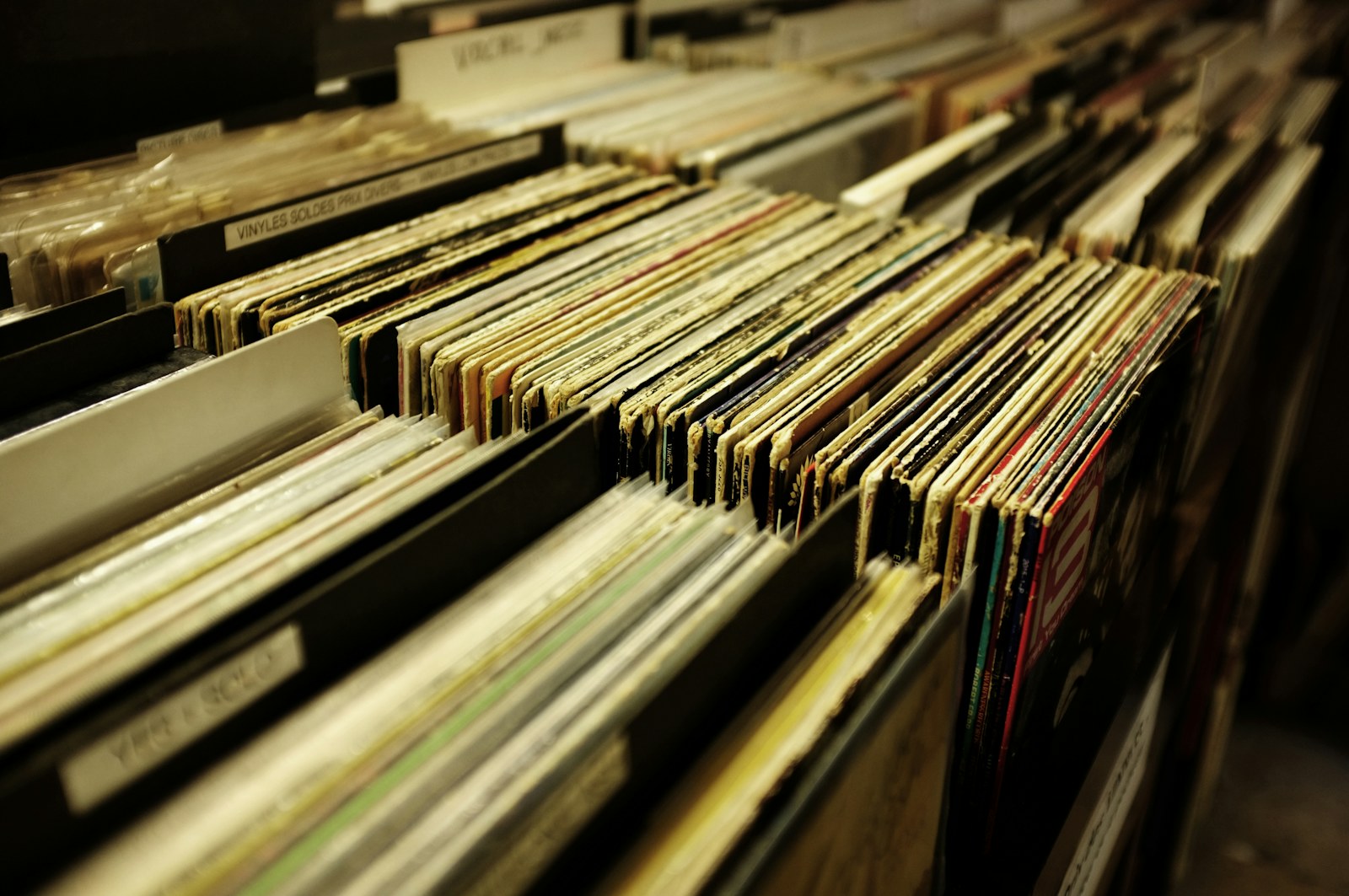 A small collection of records and objects